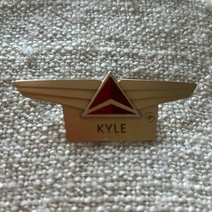 Flight attendant wings